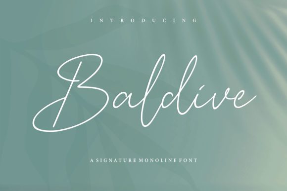 Baldive Font Review: Elegant Script for Handmade Products