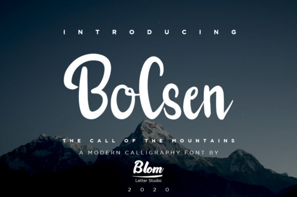 Bolsen Font Review: Elegant Script for Digital Campaigns