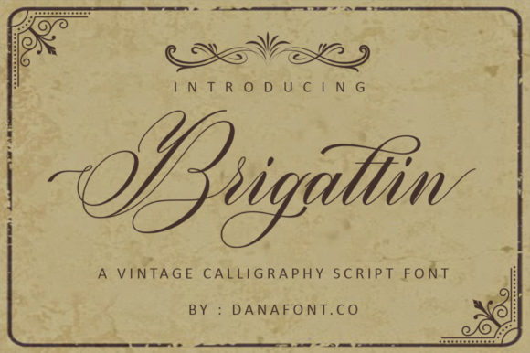 Brigattin Font: Elevating Boutique Web Design